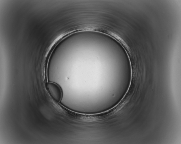 X0000085791083200703301446