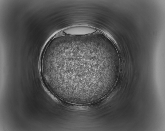 X0000085791084200703301446