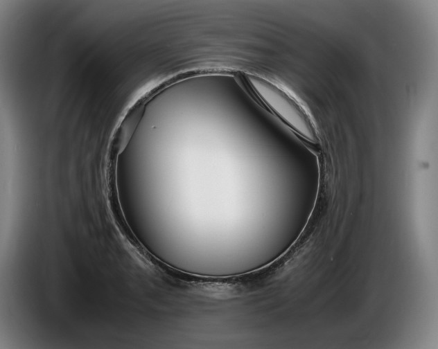 X0000085791085200703301446