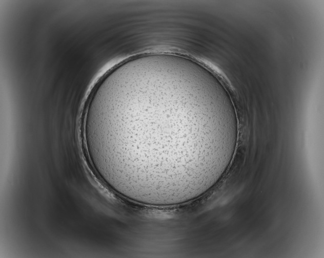 X0000085791086200703301446