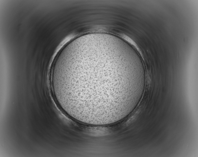 X0000085791090200703301446
