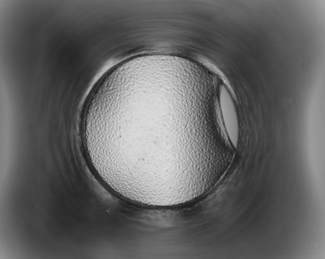 X0000085791091200703301446