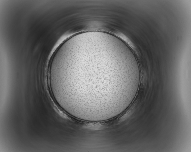X0000085791094200703301446