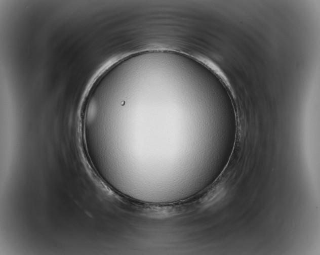 X0000085791096200703301446