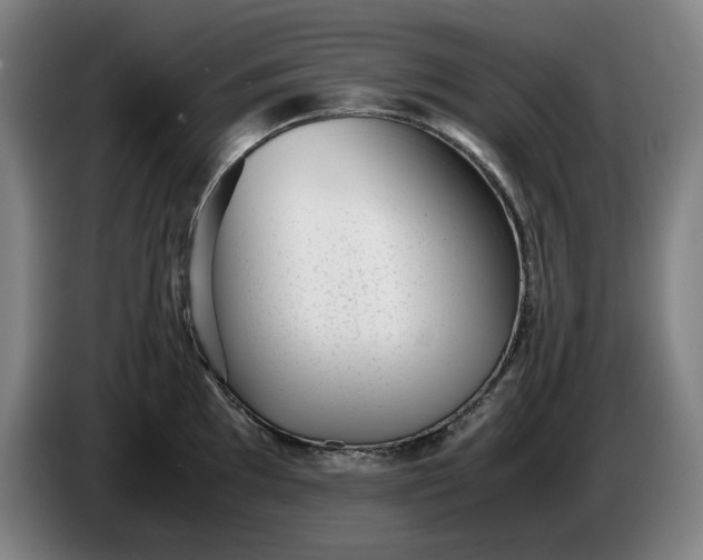 X0000085791097200703301446
