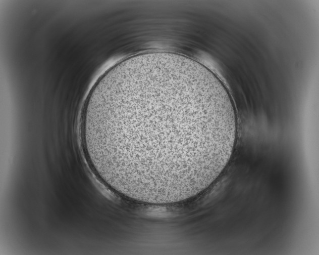 X0000085791098200703301446