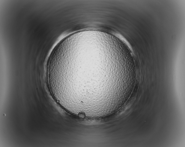 X0000085791099200703301446