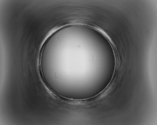 X0000085791101200703301446