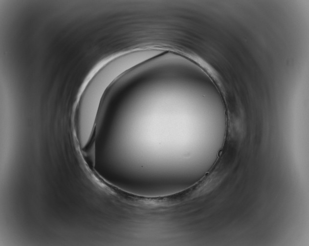 X0000085791102200703301446