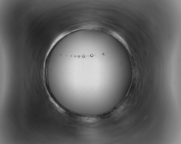 X0000085791103200703301446
