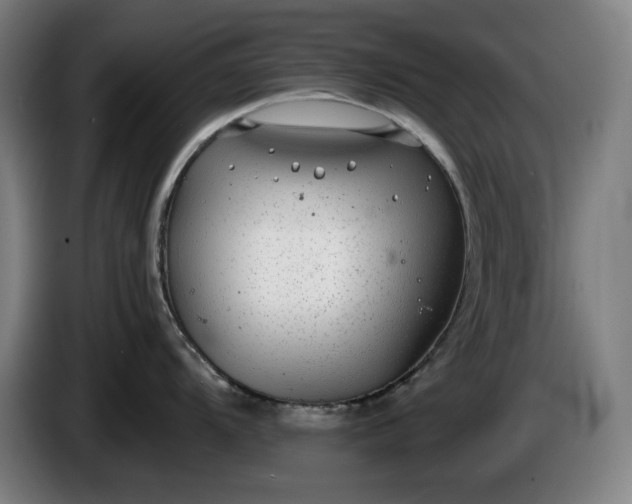 X0000085791104200703301446