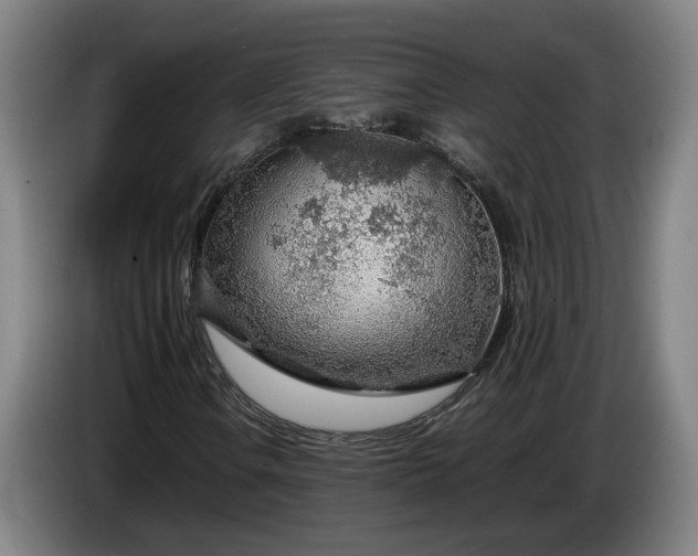 X0000085791106200703301445