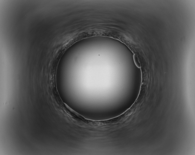 X0000085791109200703301445