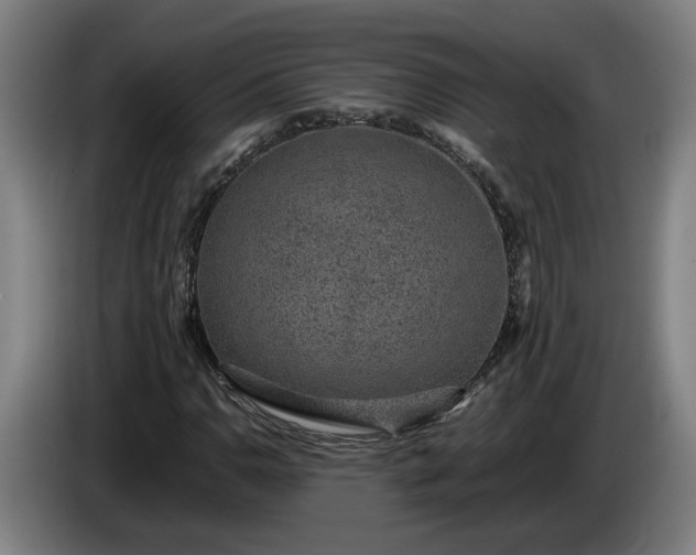 X0000085791110200703301445