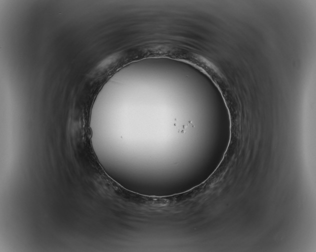 X0000085791111200703301445