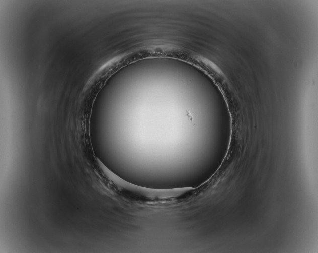 X0000085791112200703301445