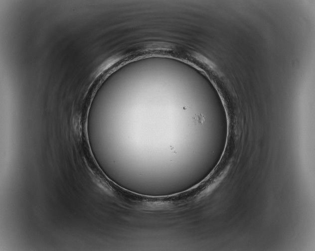 X0000085791113200703301445