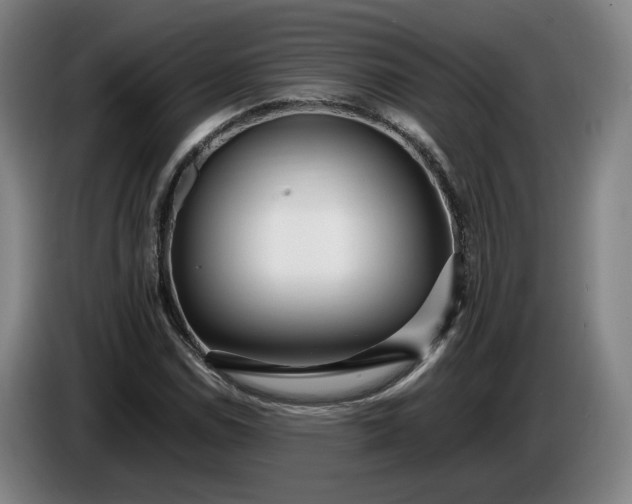 X0000085791114200703301445