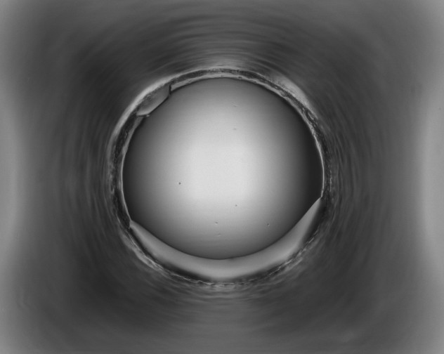 X0000085791116200703301445