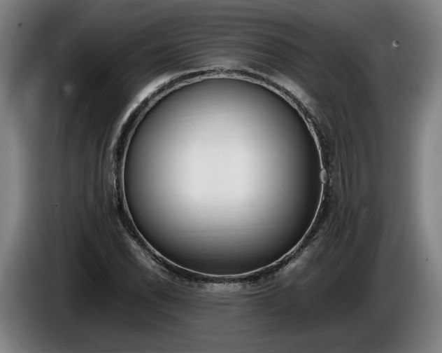 X0000085791118200703301445