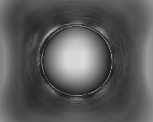 X0000085791119200703301445