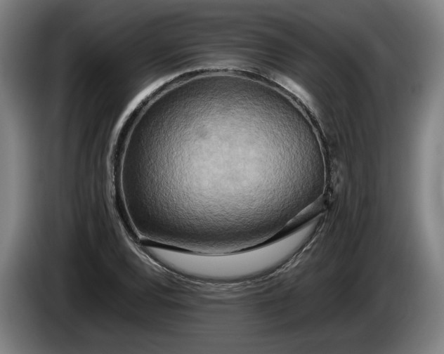X0000085791120200703301445