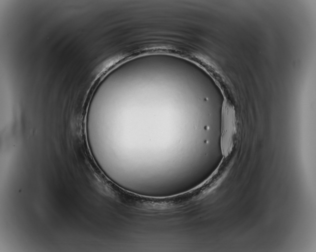 X0000085791121200703301445