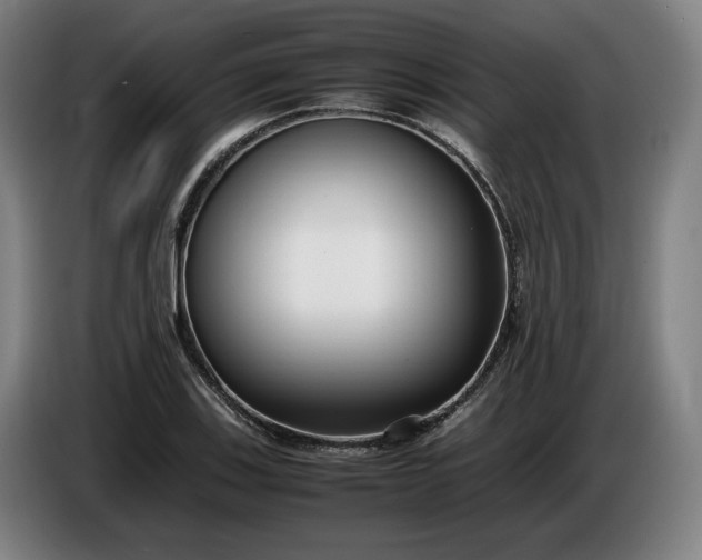 X0000085791123200703301445