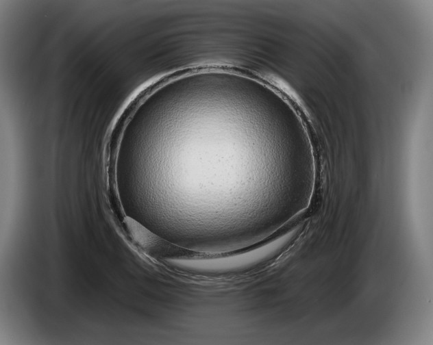 X0000085791124200703301445