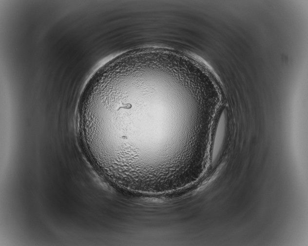 X0000085791125200703301445