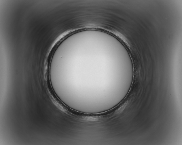 X0000085791126200703301445