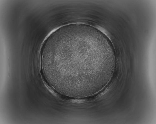X0000085791127200703301445