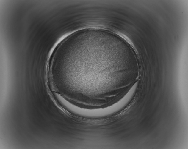 X0000085791128200703301445