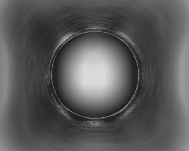 X0000085791129200703301445
