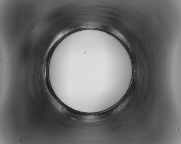 X0000085791130200703301445
