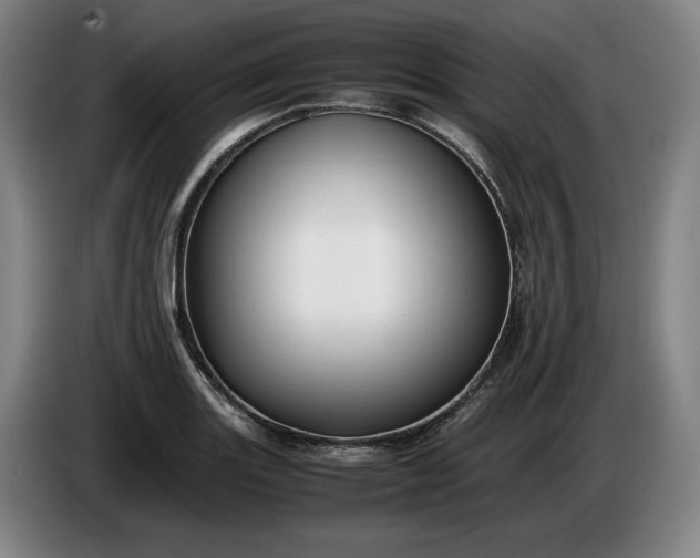 X0000085791131200703301445