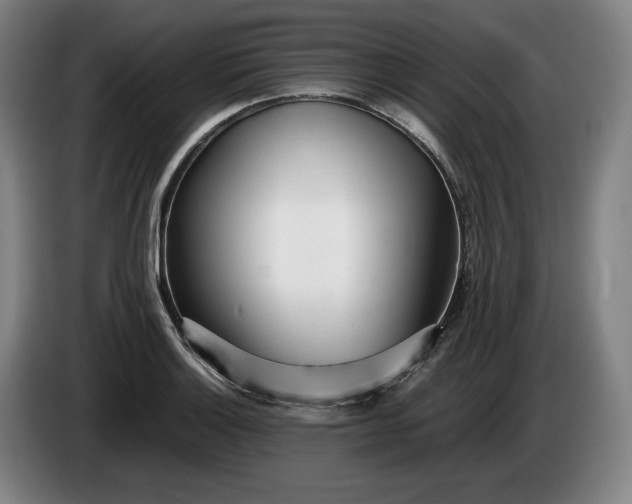 X0000085791132200703301445