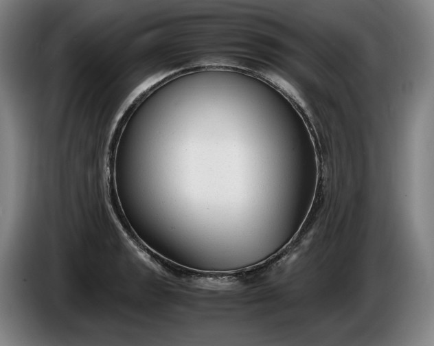 X0000085791133200703301445