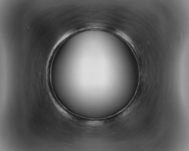 X0000085791135200703301445