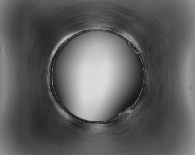 X0000085791136200703301445