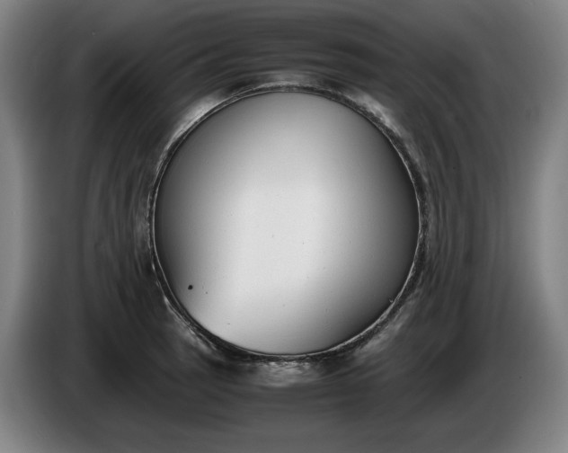 X0000085791137200703301445