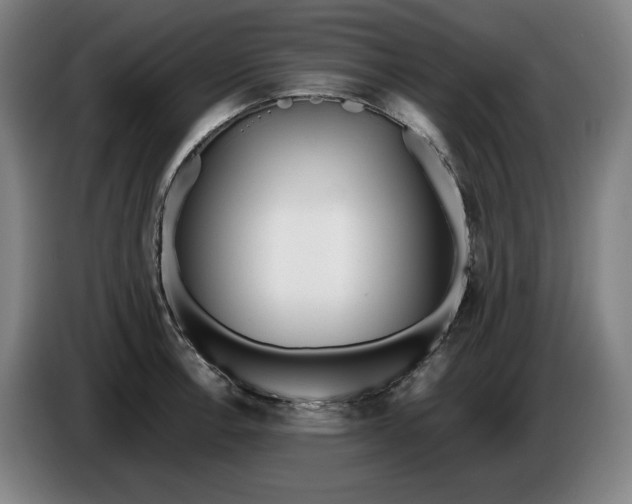 X0000085791138200703301445