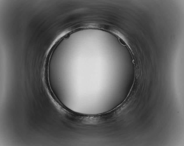X0000085791139200703301445