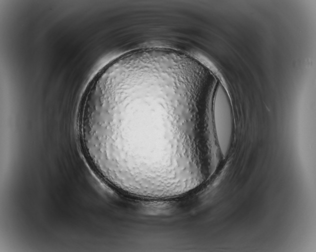 X0000085791141200703301445