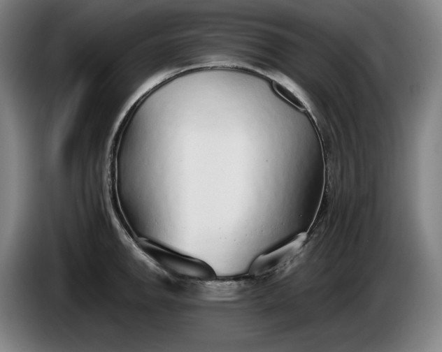 X0000085791142200703301445