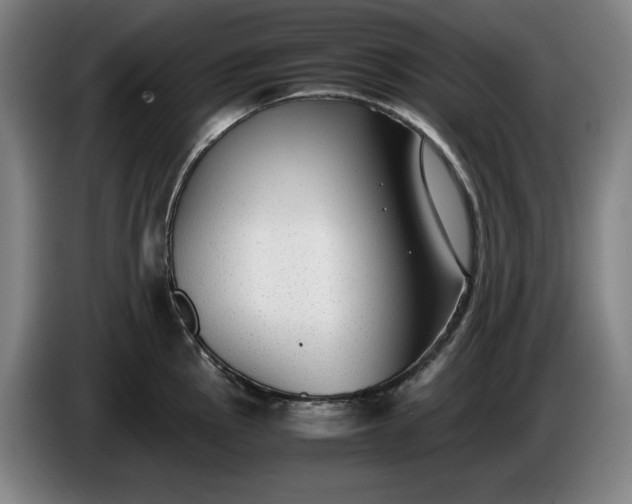 X0000085791145200703301445