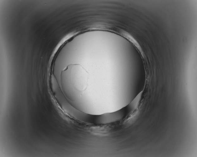 X0000085791146200703301446