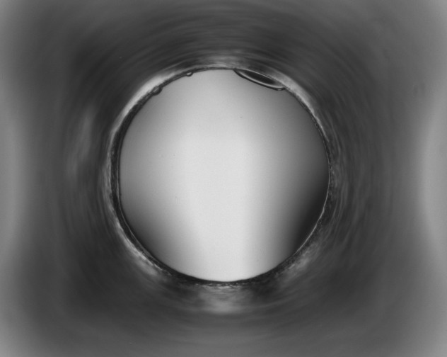 X0000085791147200703301446