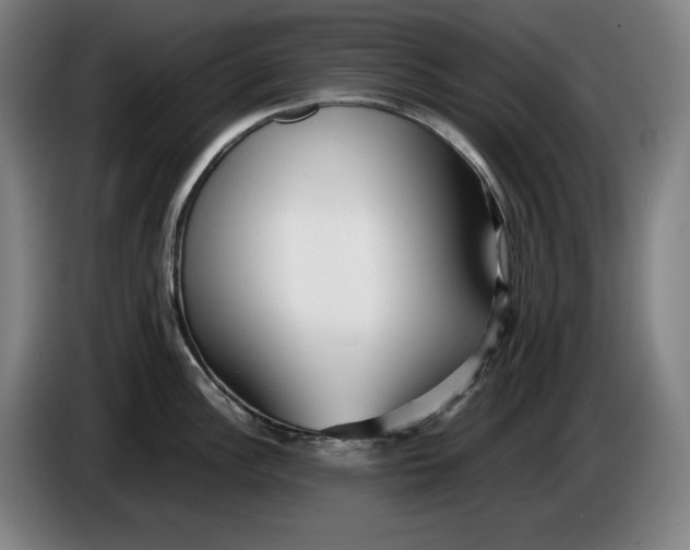 X0000085791148200703301446