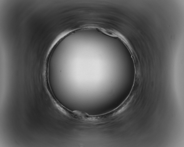 X0000085791149200703301446